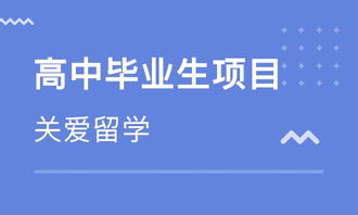 武漢西班牙留學中介 專業(yè)指南與自費出國服務全解析