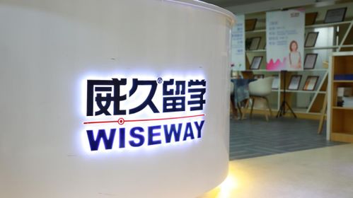 王偉 赤子雄心 見證國際教育二十年
