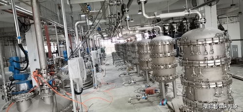 延遲退休新動態(tài) “長壽藥”企業(yè)計劃上市引發(fā)網(wǎng)友熱議，擔憂120歲退休成真